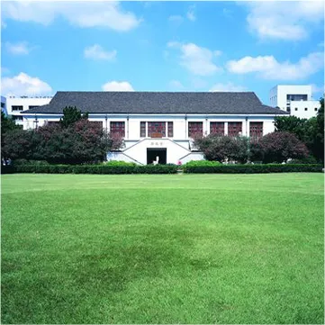 Arts & Museums